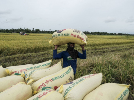 Strah od indijske zabrane izvoza riže pokrenuo navalu na tržištu