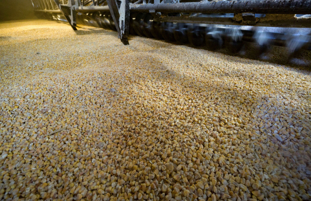 Rusija i Turska pred sporazumom o izvozu žitarica, Kijev skeptičan