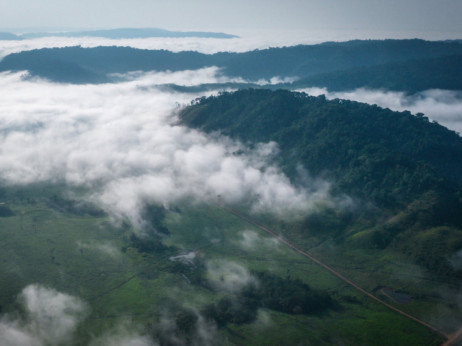 Krčenje Amazonije doseglo rekordnu razinu