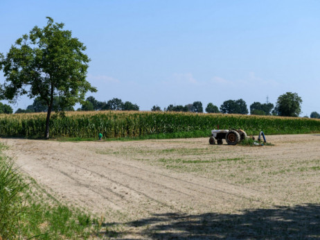 Bruxelles predlaže odstupanje od pravila radi veće proizvodnje žitarica