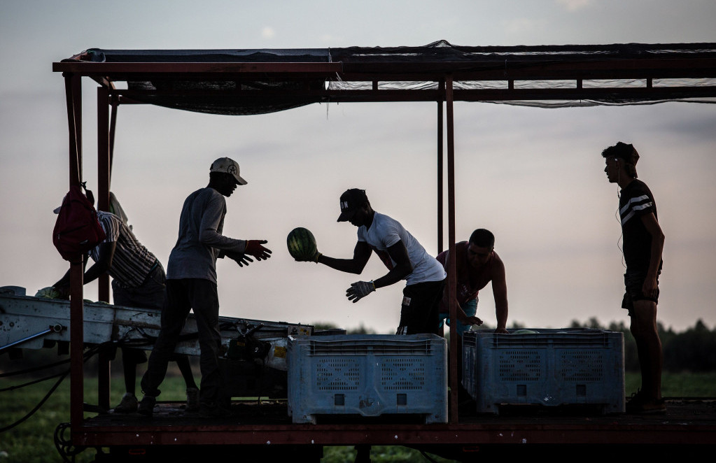 Španjolci zbog demografskog pada žele više strane radne snage