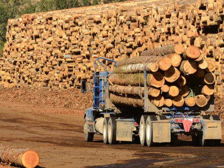 Regionalni izvoz rezane drvne građe premašio 1,2 milijarde dolara