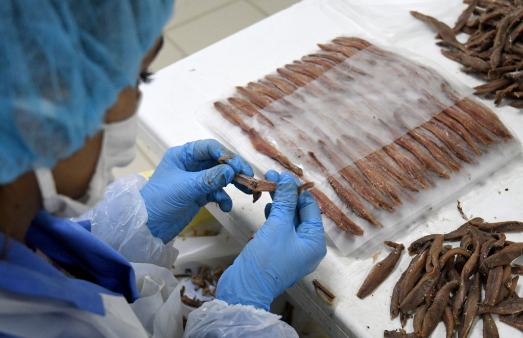 Konzervirana riba – hrana kojom ćete smanjiti svoj ugljični otisak