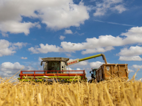 Cijena pšenice raste nakon ruske suspenzije sporazuma