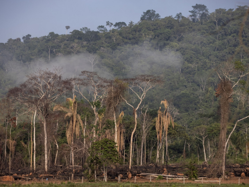Amazonska prašuma uništava se najbržim tempom u 15 godina, stiže plan za spas