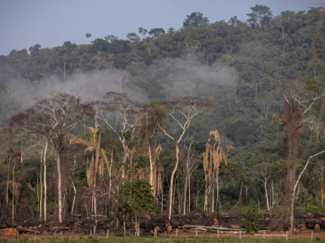 Amazonska prašuma uništava se najbržim tempom u 15 godina, stiže plan za spas