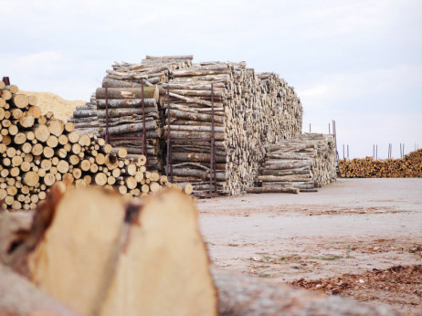 Hrvatske šume tvrde da nema obustavi narudžba i prodaje drva za ogrjev