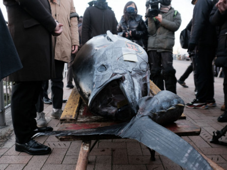 Divovska tuna prodana za 275.000 dolara na aukciji u Tokiju