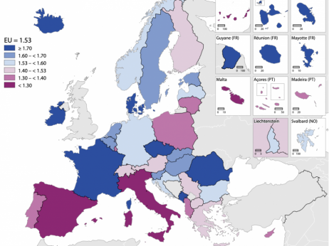 U Europskoj uniji se rađa sve manje djece