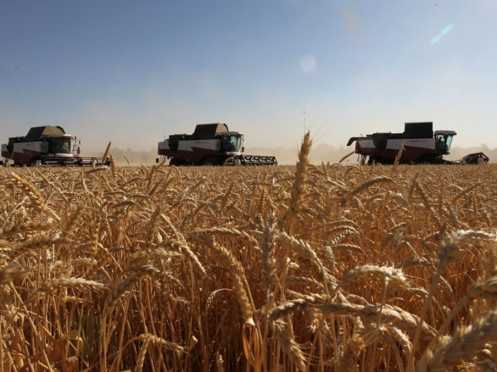 Cijena pšenice nakon crnomorske ugroze raste