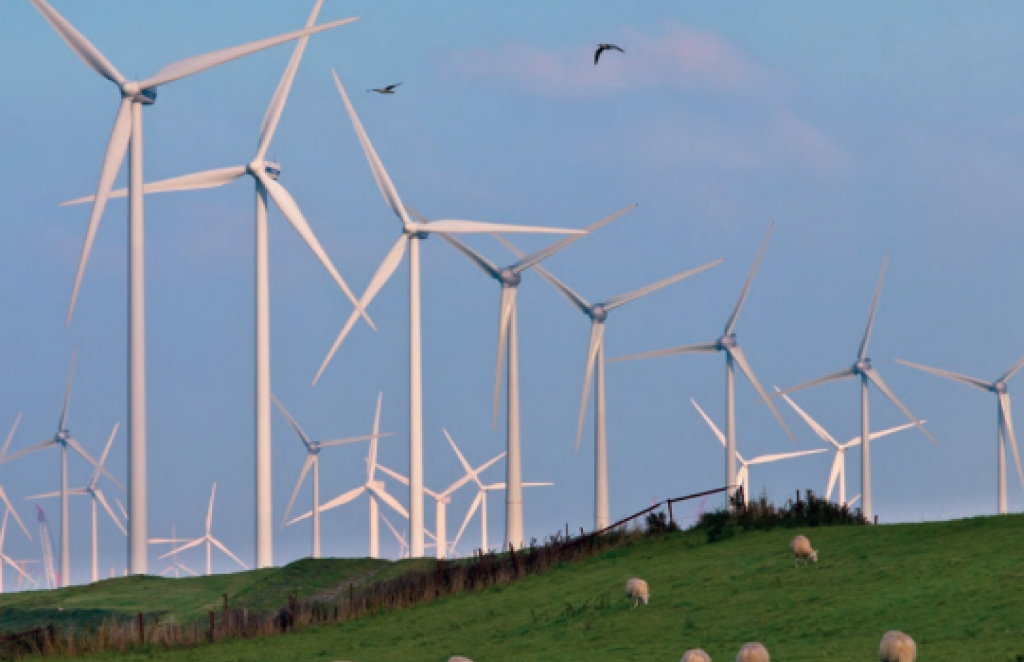 Umjesto iskorištavanja vjetra u regiji, glavobolja od dugotrajne birokracije