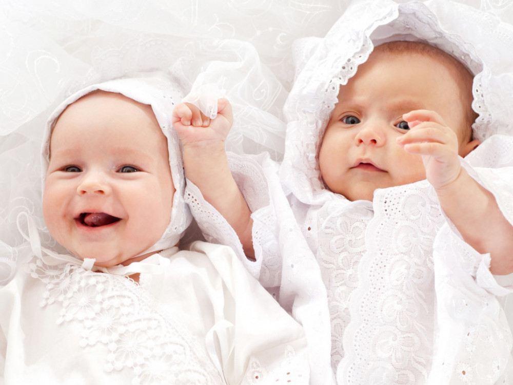 Vlada spašava demografiju, a OPRASHI pčele - pet stvari koje morate znati