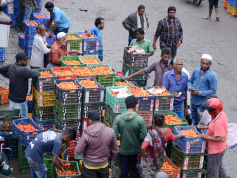 Rajčica u Indiji poskupjela 700 posto, poljoprivrednici trljaju ruke