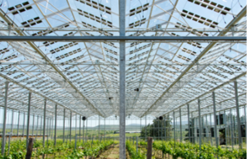 Mogu li agrosolari spasiti poljoprivrednike od klimatskih ekstrema