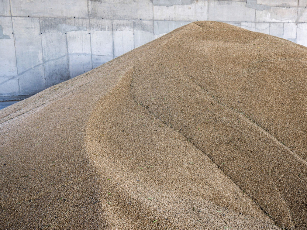 Cijene pšenice rastu jer je Rusija zaustavila promet u luci Novorosĳsk