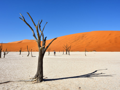 Namibija crvenim dinama, plavim morem i safarijem privlači turiste iz regije