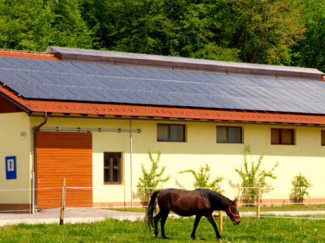 Sončne elektrarne: Zeleni prehod je ukradel posel