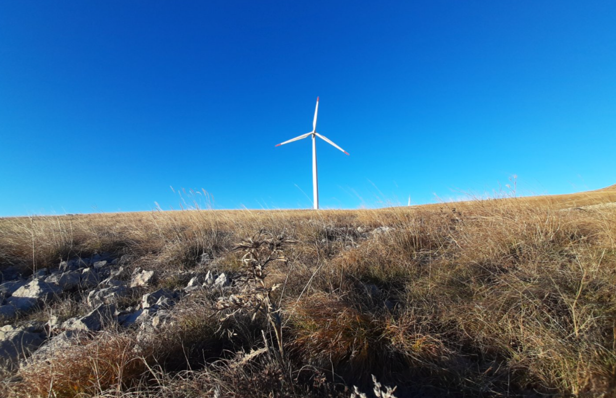 Ulagači u obnovljive izvore energije traže poseban zakon za ubrzanje investicija