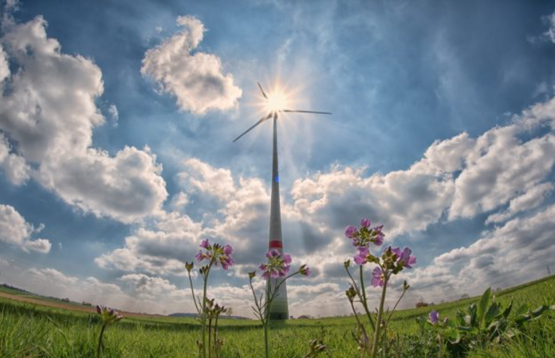 Europski energetski sektor nakon izbora zabrinut za zelenu tranziciju