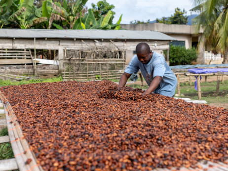 Cijene kakaa divljaju, proizvođači čokolade trošak prebacuju na kupce