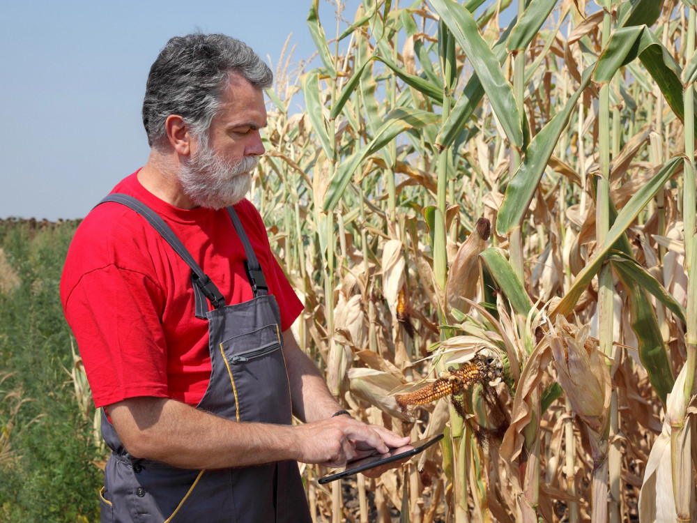 Hrvatska dokazala da poticaji ne garantiraju uspjeh poljoprivrede – pet stvari za početak dana