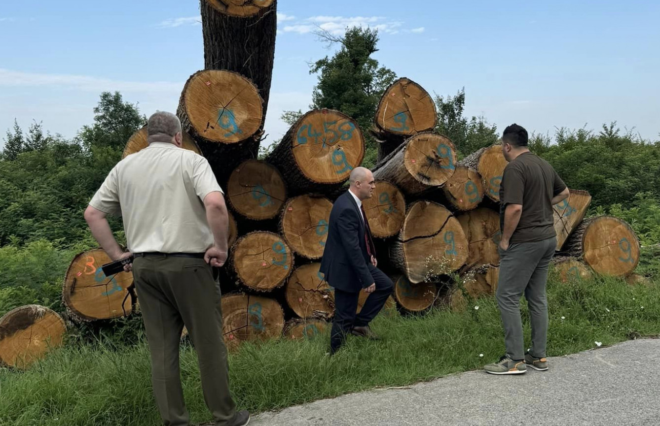 Je li bivši ministar Dabro prozivkom Hrvatskih šuma dirnuo u osinje gnijezdo?