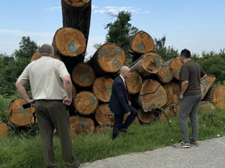 Je li bivši ministar Dabro prozivkom Hrvatskih šuma dirnuo u osinje gnijezdo?