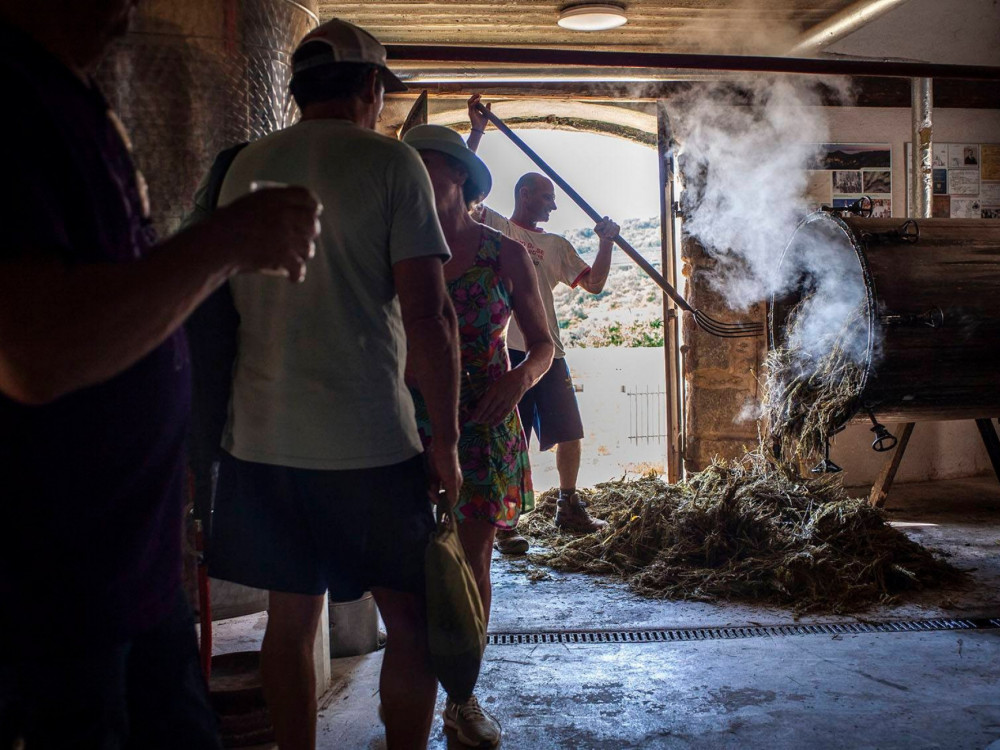Nesvakidašnje kuhanje lavande u destileriji u Velom Grablju| Foto: Borna Obranović