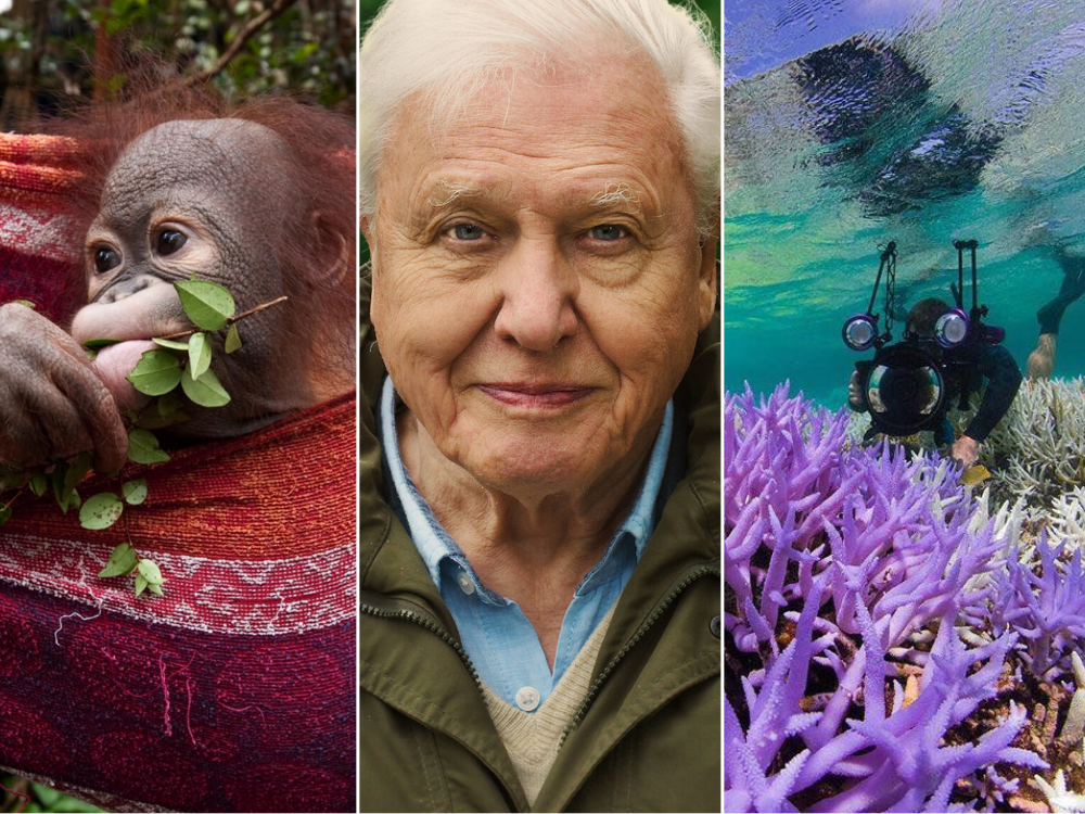 Top 12 dokumentaraca koji će promijeniti način na koji gledate svijet