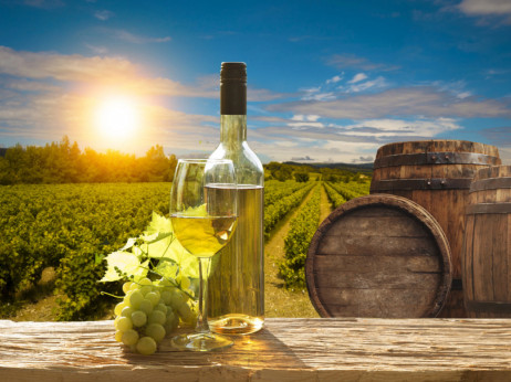 Vinski maraton od 2817 kilometara kroz balkanske vinograde