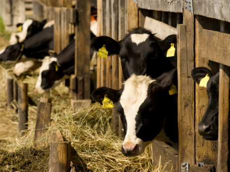 TSH Čakovec dioničarima nudi dividendu od pet posto