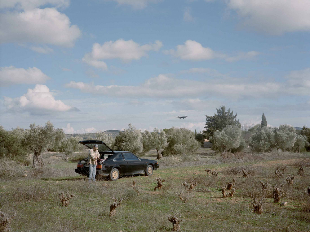 Kada berba maslina postane borba za opstanak - što možemo naučiti iz grčkog scenarija