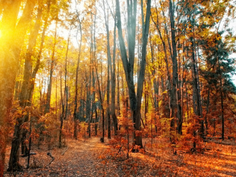 Gdje otići na mini odmor u studenom autom?