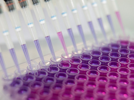 Abivax je nova europska zvijezda, dionica skočila 1300 posto