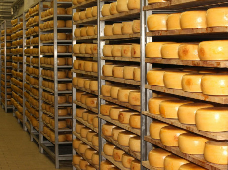 Paška sirana već 80 godina uspješno bira tradiciju u industriji punoj izazova