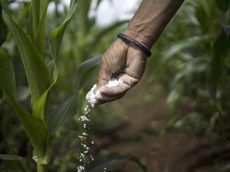 Potraje li sukob u Perzijskom zaljevu, svijetu prijeti porast cijena hrane zbog manjka gnojiva