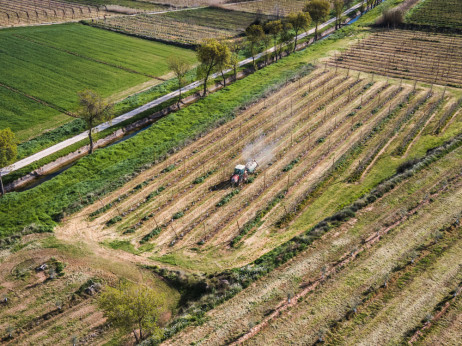 Kriza na Bliskom istoku - još jedan šok za problemima opterećenu hrvatsku poljoprivredu