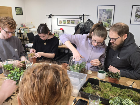 Digitalni umor - analogni odgovor