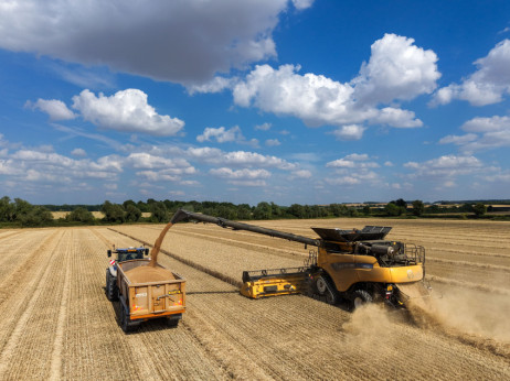 Europa ostaje bez stočne hrane, farmeri već smanjuju stada
